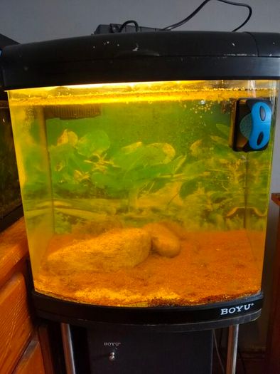 80ltr Boyu Tank and Stand
