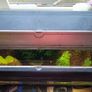 fish tank Image 2