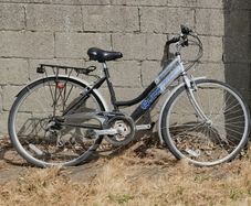 BIKE - Ladies