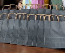 Premium gift paper bags with strong handles 22cmx 7cm
