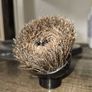 Numatic Dusting Brush 32 MM Image 6
