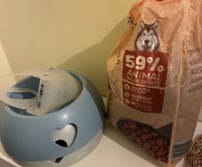 dog stuff