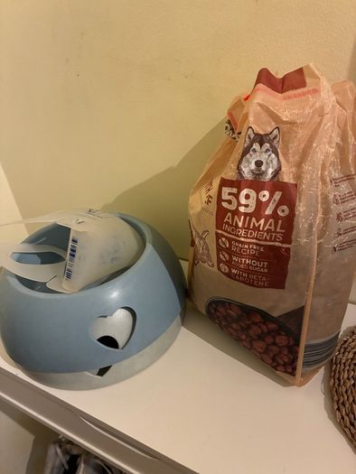 dog food and bowls