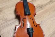 Antoni Violin