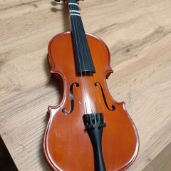 Antoni Violin