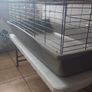 rabbit cage plus table Image 4