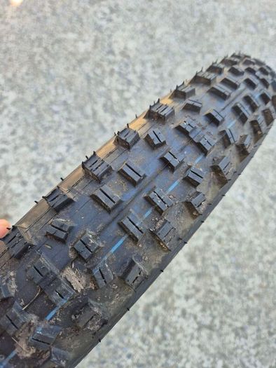 Schwalbe Hans Dampf