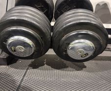 46kg Dumbbells