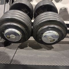 46kg Dumbbells