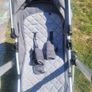 Panorama Xti Pram Image 9