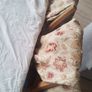 Paoletti Zurich Floral Champagne Cream Jacquard  Curtains Image 6