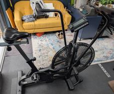 Assault Air Bike Classic