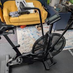 Assault Air Bike Classic