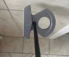 Lab Putter