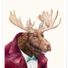 thesprucemoose