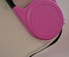 dog lead