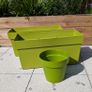 Blooma Green rectangular plastic plant pot Image 3