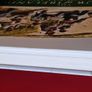 The Colour of Ireland: County by County 1860- 1960 / Rob Cross/ 2021 Image 4