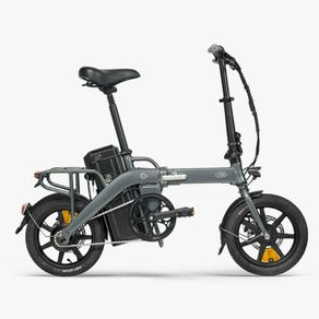 FIIDO L3 Electric Bike