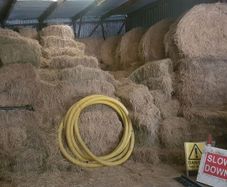 Hay
