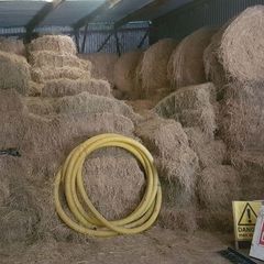 Hay