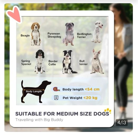 dog stroller