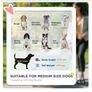 dog stroller Image 6