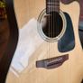 takamine Image 2
