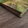 The Scarecrow And His Servant ! by Philip Pullman ! Hardcover ! 2004 ! by Doubleday ! Image 9