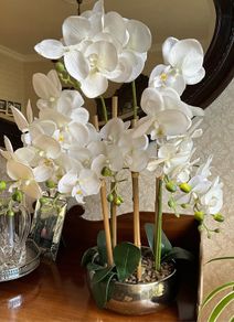 Tall Imitation Orchid Plant