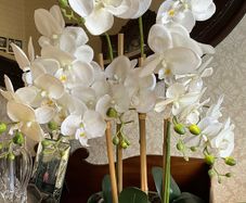 Tall Imitation Orchid Plant