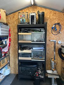 Aquarium Rack & Tanks with 3 External filters