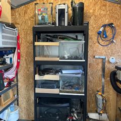 Aquarium Rack & Tanks with 3 External filters