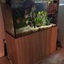 Aquarium/ Fish Not For Sale!!! Image 3