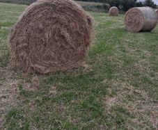 Hay Bales for Sale