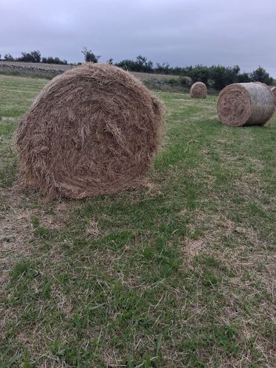 Hay Bales for Sale
