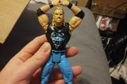 WCW Diamond Dallas Page Figure - WWE