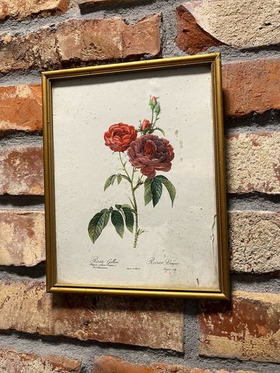 vintage pictures