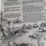 vintage twinkle comic Nov 1981 Image 3
