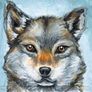 Tarot Card Image 2