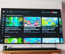 Sony 65in 4K Tv(Need Fix)