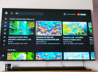 Sony 65in 4K Tv(Need Fix)
