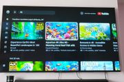 Sony 4K Tv 65inch(Need Fix)