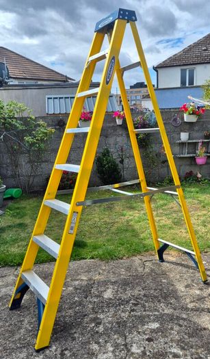 Werner 8 thread Fibreglass Ladder