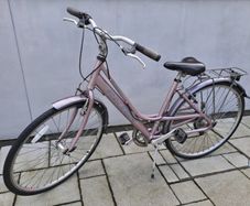 Bike Raleigh Pioneer 1