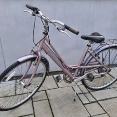 Bike Raleigh Pioneer 1