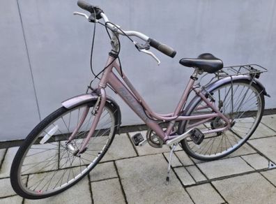 Bike Raleigh Pioneer 1