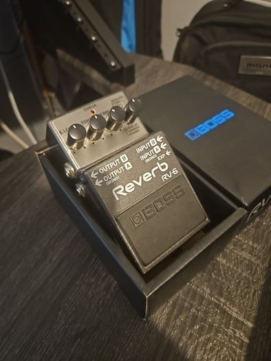 Boss RV-6