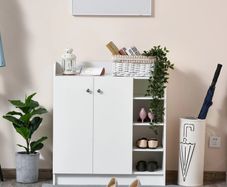 Shoe Cabinet Shoe Dresser Shoe Rack, 4 Shelves, 1 Cabinet