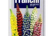 (L) Fr. Lupine seeds Alto mix Large 2.5g pack (807544)